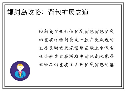 辐射岛攻略：背包扩展之道